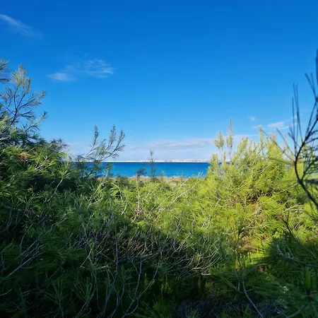 Maria In Puglia Con Pineta Vicino Al Mare
