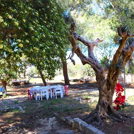 Maria In Puglia Con Pineta Vicino Al Mare Holiday home *